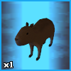 Capybara